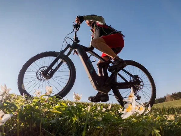ebike_600x600